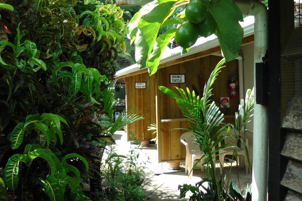 Gecko Lodge Fiji Савусаву Екстер'єр фото